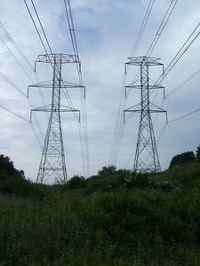 Appalachian Trail Power line (41.506959, -73.812537)