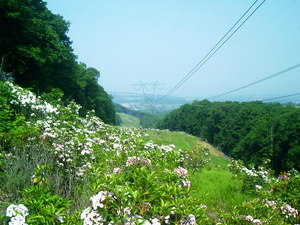 Appalachian Trail Power line