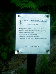 Appalachian Trail Shenandoah National Park