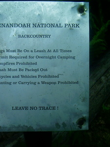 Appalachian Trail Shenandoah National Park