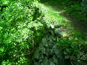 Appalachian Trail Rock work
