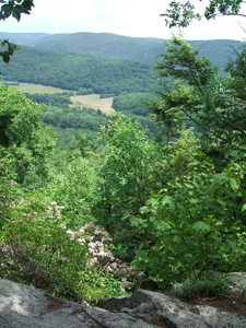 Appalachian Trail 