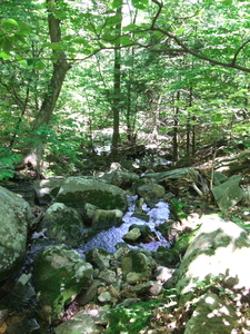 Appalachian Trail 