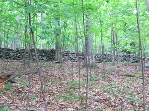 Appalachian Trail Stone Wall