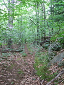 Appalachian Trail 