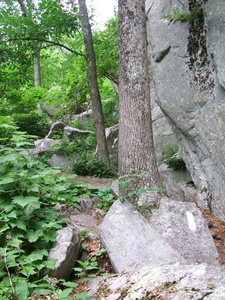 Appalachian Trail 