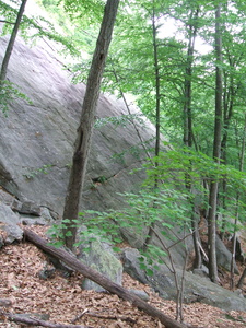 Appalachian Trail 