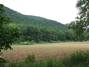 Appalachian Trail 