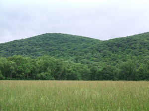 Appalachian Trail 