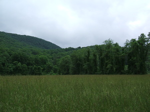 Appalachian Trail 