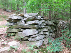 Appalachian Trail Stone Wall