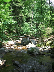 Appalachian Trail 