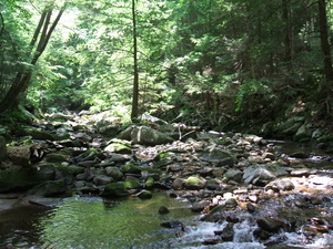 Appalachian Trail 