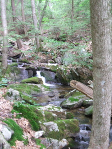 Appalachian Trail 