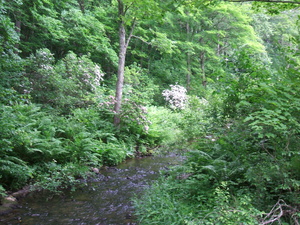 Appalachian Trail 