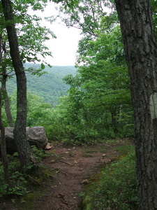 Appalachian Trail 