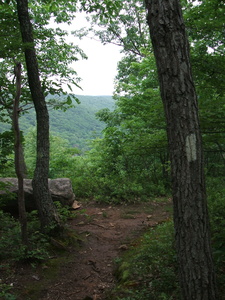 Appalachian Trail 