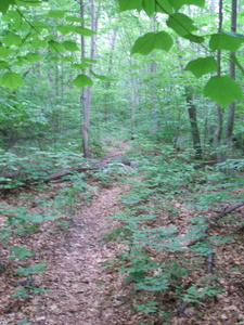 Appalachian Trail 