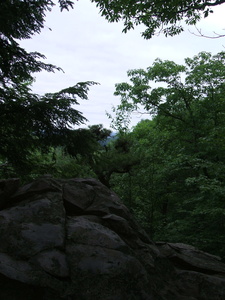 Appalachian Trail 