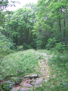 Appalachian Trail 