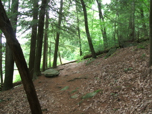 Appalachian Trail 