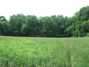 Appalachian Trail 