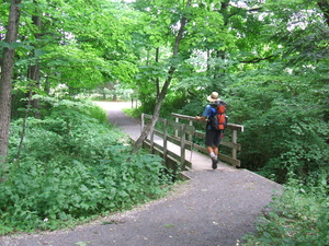 Appalachian Trail Spike