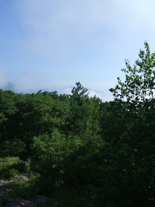 Appalachian Trail 