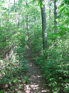 Appalachian Trail 