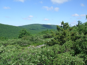 Appalachian Trail 