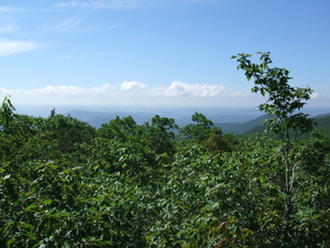 Appalachian Trail 