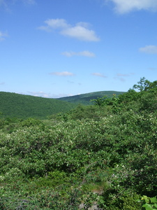 Appalachian Trail 