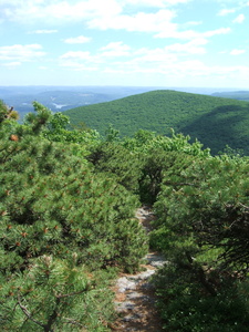 Appalachian Trail 