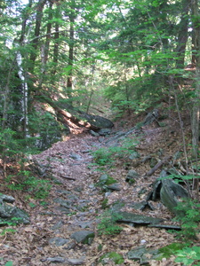 Appalachian Trail 