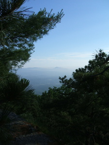 Appalachian Trail 