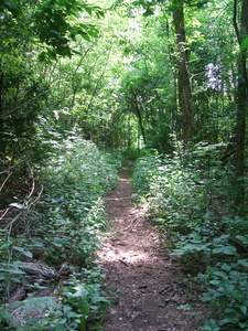 Appalachian Trail 