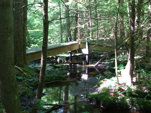 Appalachian Trail 