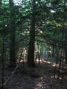 Appalachian Trail 