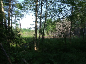 Appalachian Trail 