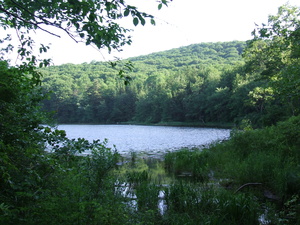 Appalachian Trail 