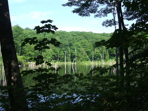 Appalachian Trail 