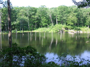 Appalachian Trail 