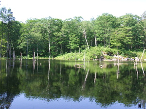 Appalachian Trail 