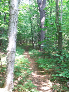 Appalachian Trail 