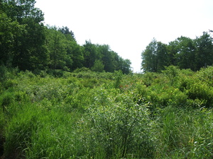 Appalachian Trail 