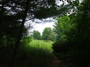 Appalachian Trail 