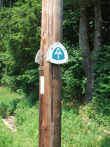 Appalachian Trail AT Sign south of Tyringham on Main Road (42.234873, -73.194234)