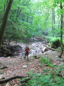 Appalachian Trail Jamie