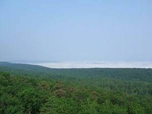 Appalachian Trail From Catfish Fire tower (41.047592, -74.972445)