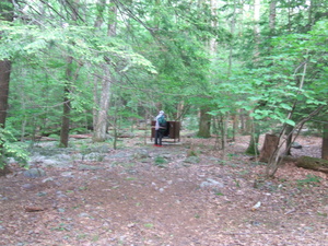 Appalachian Trail Bear Box at Brink Road Shelter